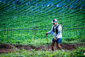 BIB: 
                            <button type="button" onclick="openModal(19159993)" class="btn btn-primary btn-sm float-right btn-popup" data-toggle="modal" data-target=".modal-high-quality">
                        <i class="fas fa-shopping-cart"></i> Add to Cart
                    </button>
                                            <button type="button" onclick="isThisMe(19159993, true)" class="btn btn-success btn-sm float-right btn-popup btn-isme hidden" data-toggle="tooltip" data-placement="bottom" title="นี่คือรูปของคุณใช่ไหม คลิกที่นี่เพื่อเอาเข้าอัลบั้ม">
                        <i class="fas fa-plus"></i> Add to album
                    </button>
                    <button type="button" onclick="isThisMe(19159993, false)" class="btn btn-warning btn-sm float-right btn-popup btn-isnotme hidden">
                        <i class="fas fa-ban"></i> Remove from album
                    </button>